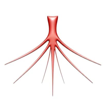 Illustration spine - Image 1