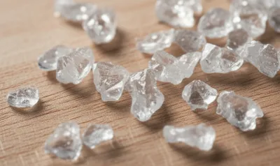 Illustration santal - Image 1