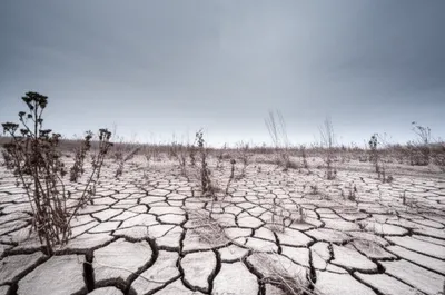 Illustration souring - Image 1