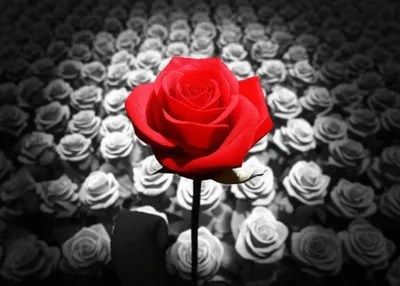 Illustration relieves - Image 1