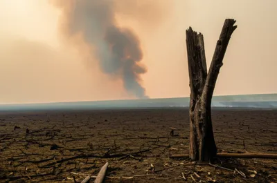 Illustration harry - Image 1