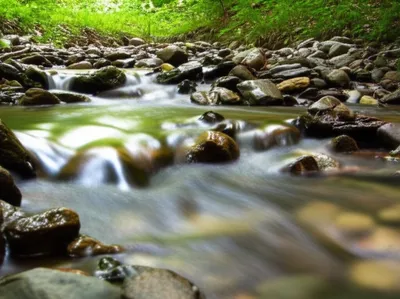 Illustration rill - Image 1