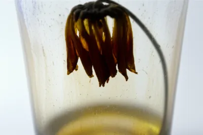 Illustration polluting - Image 1