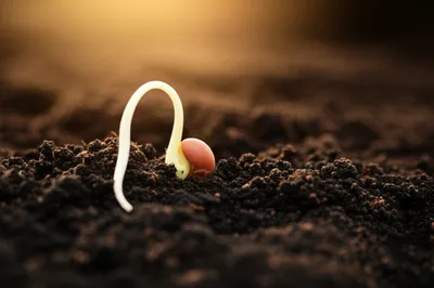 Illustration rested - Image 1