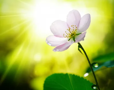 Illustration breathe - Image 1