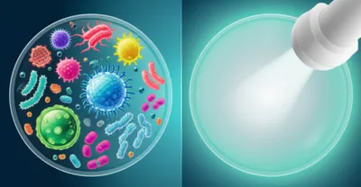 Illustration sterilized - Image 1