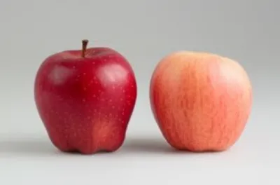 Illustration unsaturated - Image 1