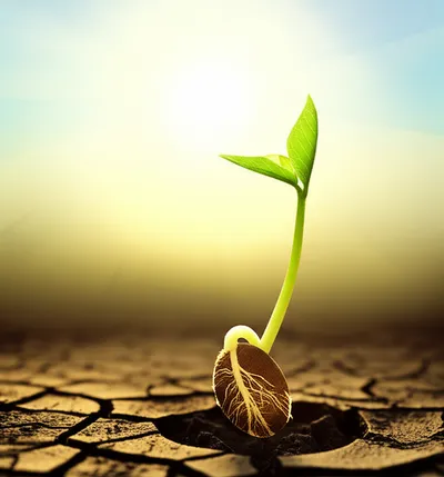 Illustration manifesting