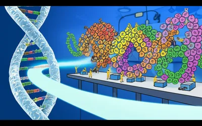 Illustration mrna - Image 1