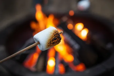 Illustration singed - Image 1