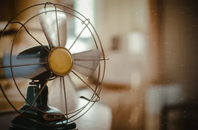 Illustration whirr - Image 1