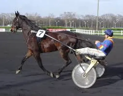 Illustration sulky - Image 2