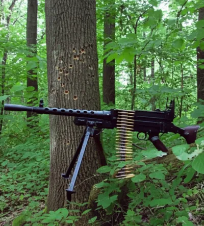 Illustration woodpecker - Image 1