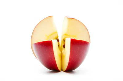 Illustration quartered