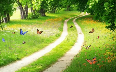 Illustration wanders - Image 1