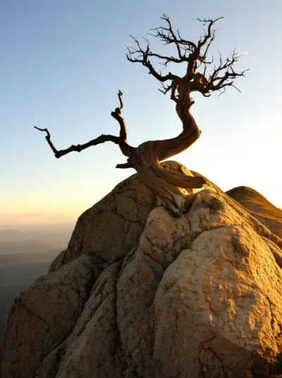 Illustration inviolable - Image 1