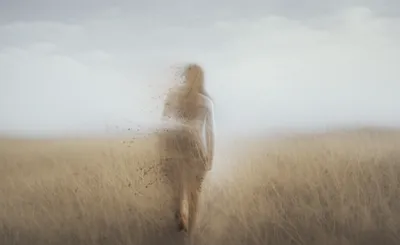 Illustration zeroed - Image 1