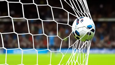 Illustration netted - Image 1