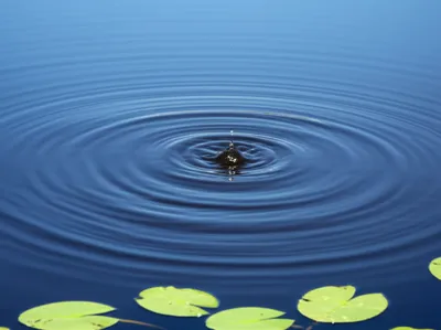 Illustration agitated - Image 1