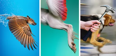 Illustration members - Image 1