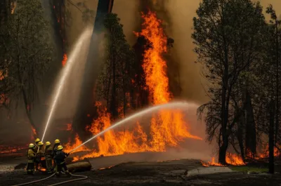 Illustration mitigated - Image 1