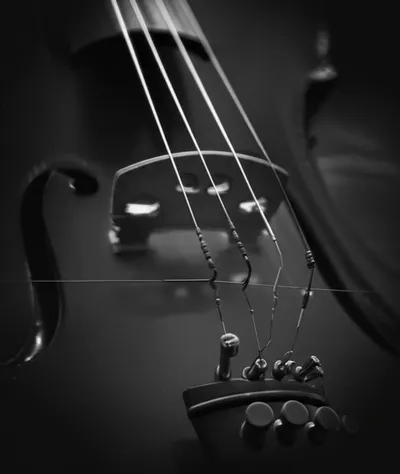 Illustration tense - Image 1