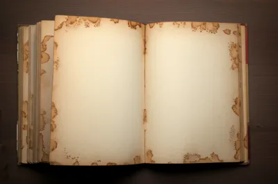 Illustration foxing - Image 1