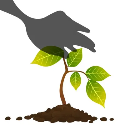 Illustration load - Image 1