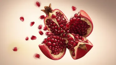 Illustration frag - Image 1