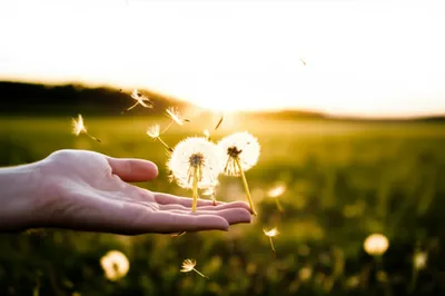 Illustration scattering - Image 1