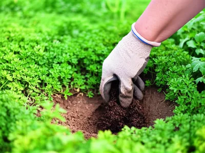 Illustration exterminating