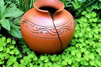 Illustration faults - Image 1