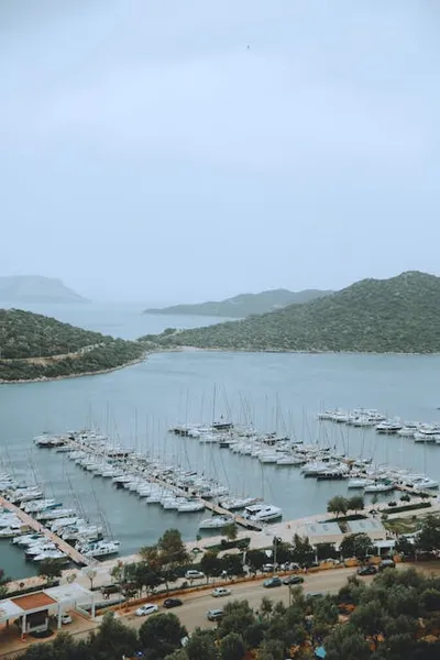 Illustration piers - Image 2