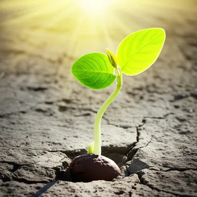 Illustration actualised