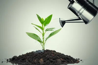 Illustration benefit