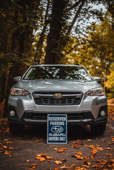 Illustration reserves - Image 2