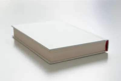 Illustration virgin - Image 1