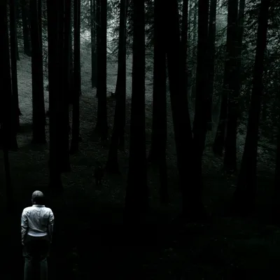 Illustration ignorant - Image 1