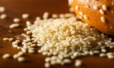 Illustration sesamum