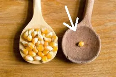 Illustration less - Image 3