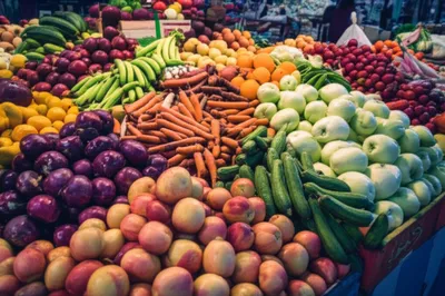 Illustration dried - Image 1