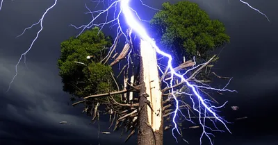 Illustration strake - Image 1