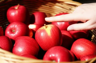 Illustration indexical