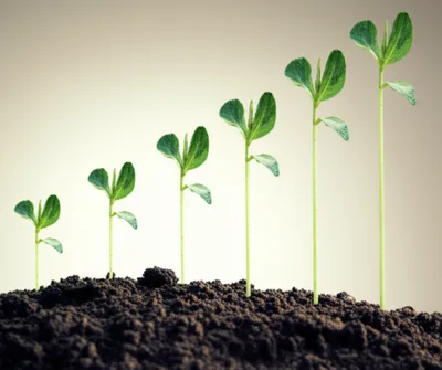 Illustration building - Image 1