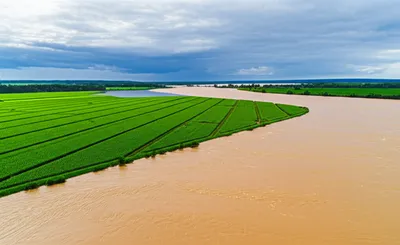 Illustration delivered - Image 1