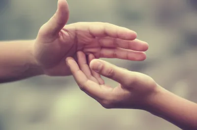 Illustration allowing - Image 1