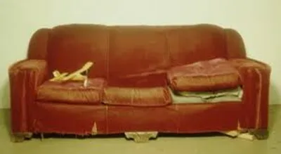 Illustration lumber - Image 2