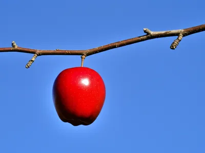 Illustration suspended - Image 1