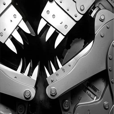 Illustration alligators - Image 1