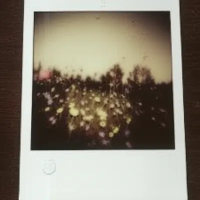 Illustration unedited - Image 1